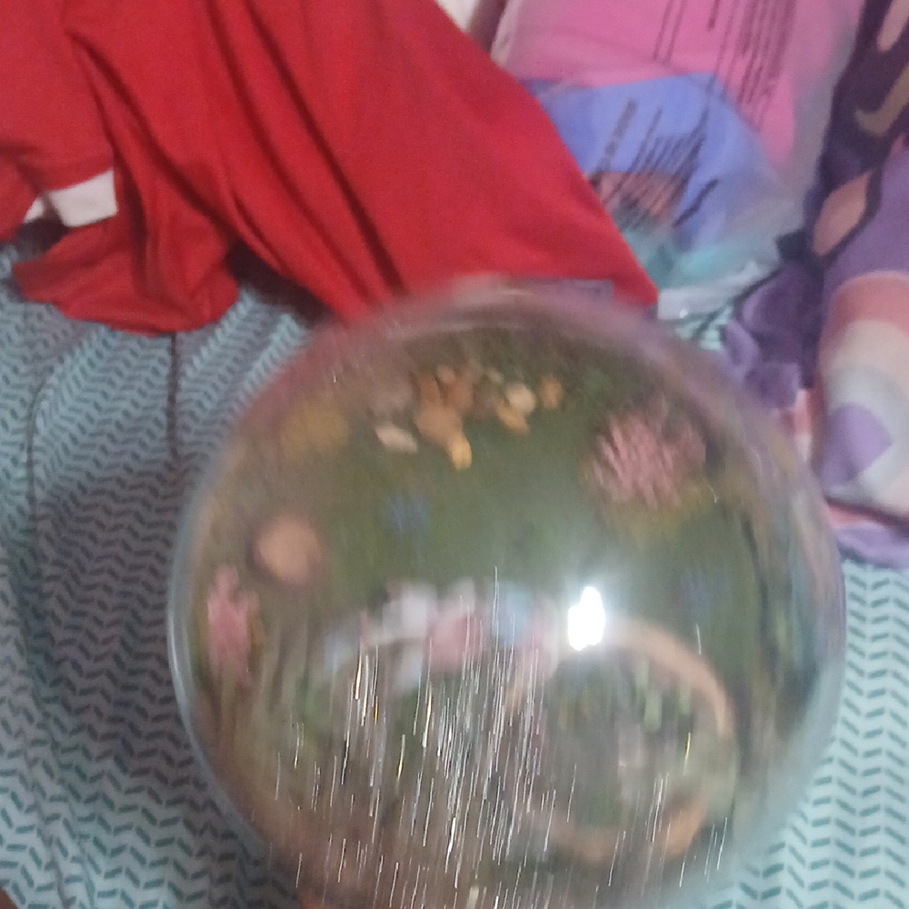 Pokemon Sylveon Pokeball Terrarium - White, Black, Pink, Blue - Picture 4 of 5